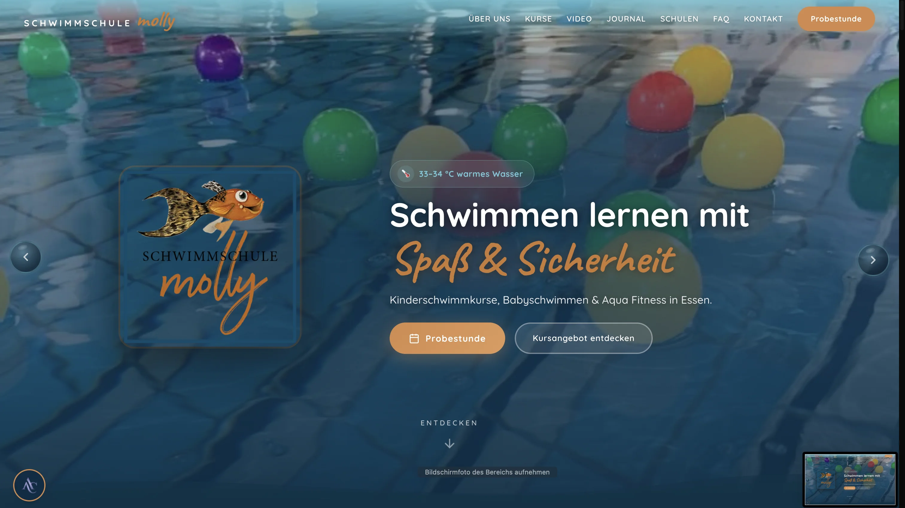 Website – schwimmschule-molly.de